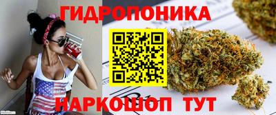 ALPHA PVP Кимры
