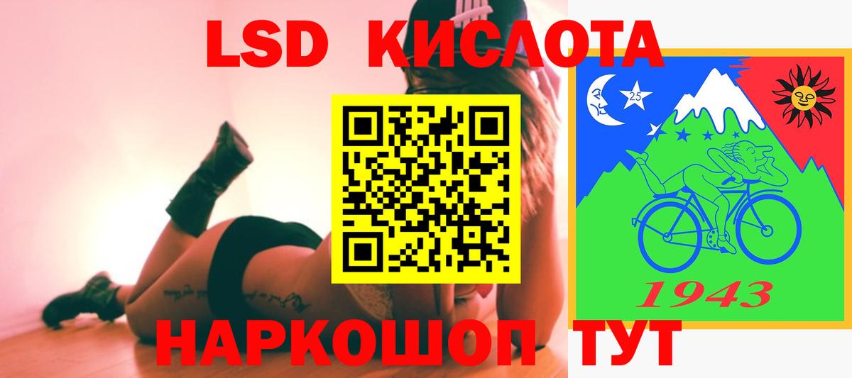 A PVP Фрязино