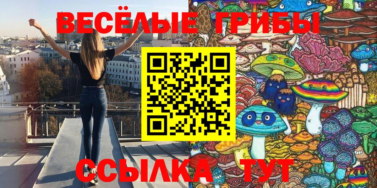 сколько стоит  Вход с VPN  Фрязино  Псилоцибиновые грибы MAGIC MUSHROOMS 